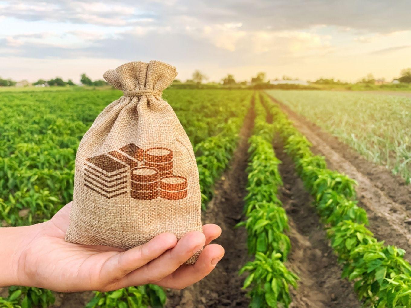 Agri Commodity